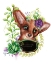 Picture of BLANK SIGN FOX