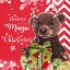 Picture of BELIEVE IN THE MAGIC OF CHRISTMAS - BRUNO BEAR
