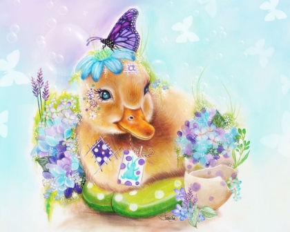 Picture of SPRING DUCKLING