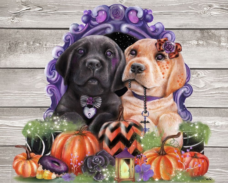 Picture of SWEET HALLOWEEN COUPLE PUPPIES