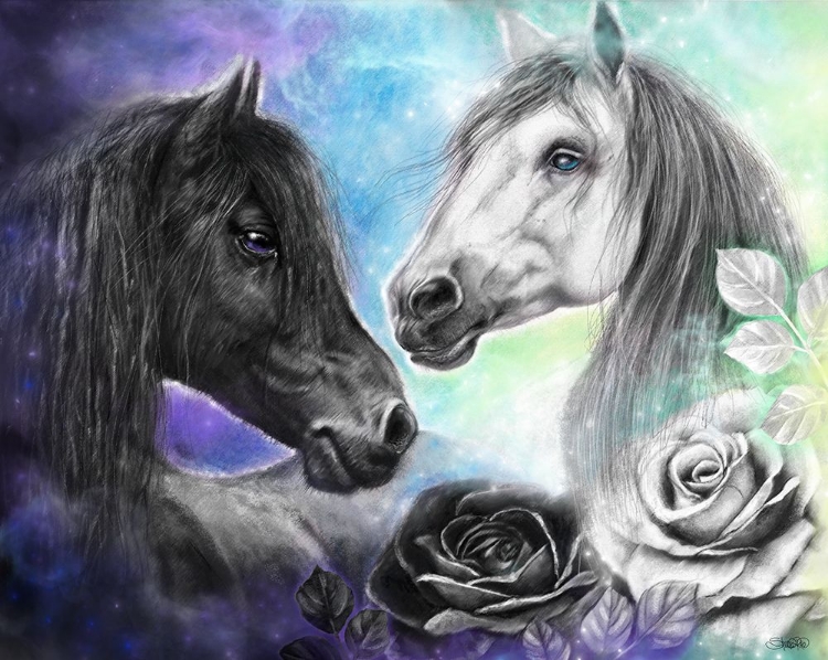 Picture of OPPOSITES ATTRACT - LIGHT AND DARK HORSE