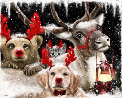 Picture of WE ALL JUST WANT TO BE RUDOLPH
