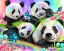 Picture of BEST BUDDIES - RAINBOW PANDAS