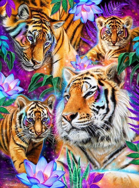 Picture of DAY DREAM TIGERS