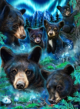 Picture of DAYDREAM MOONLIT BLACK BEARS