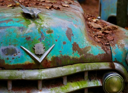 Picture of CADILLAC HOOD ORNAMENT