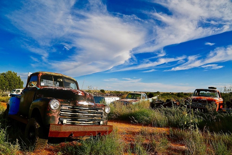 Picture of FIELD OF TRUCKS