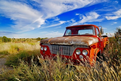 Picture of ORANGE PICKUP