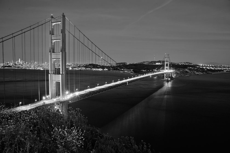 Picture of BLK AND WHT GOLDEN GATE