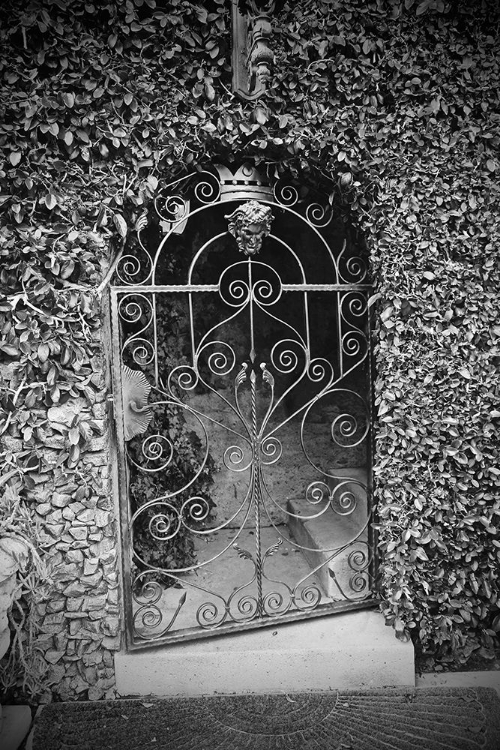Picture of GATE WITH IVY