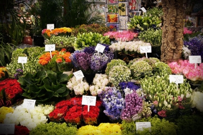 Picture of FLOWER MART