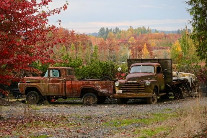 Picture of 2 AUTUMN VINTAGE TRUCKS