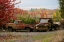 Picture of 2 AUTUMN VINTAGE TRUCKS