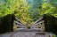 Picture of AUTUMS BRIDGE 2