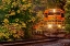 Picture of CLOSEST TRAIN ON THE TRACKS