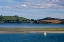 Picture of LONE SAILOR IN NEW ZEALAND