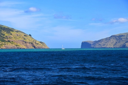 Picture of LONE SAILOR IN NEW ZEALAND 2