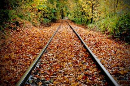 Picture of LOOKING DOWN THE TRACKS