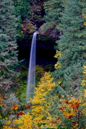 Picture of LOVE FALLS 2