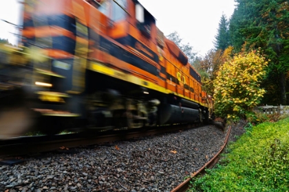 Picture of MISSED THE TRAIN
