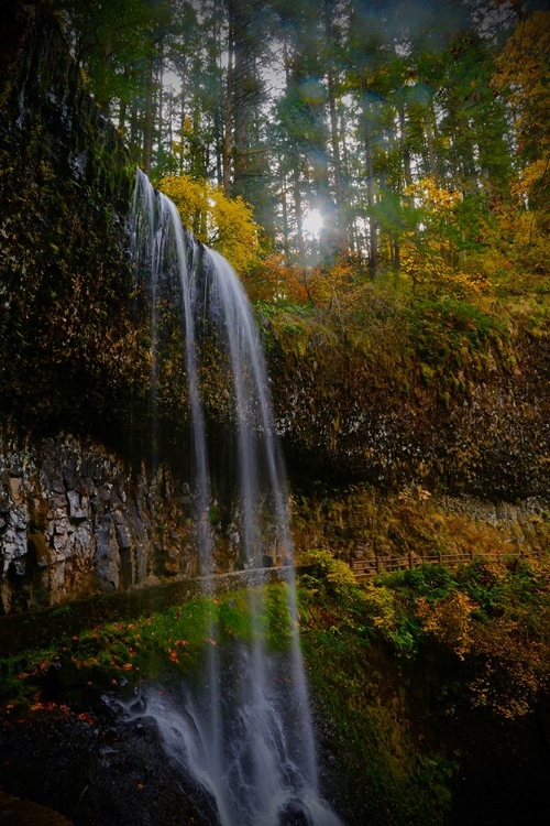 Picture of MYSTICAL FALLS 1