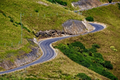 Picture of NZ CURVED ROAD