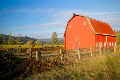 Picture of RED BARN WITH COWS 2