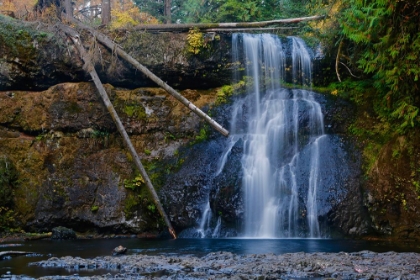 Picture of THREE TRUNK WATERFALL