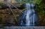 Picture of THREE TRUNK WATERFALL