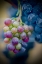 Picture of WINE TIME CLOSE UP