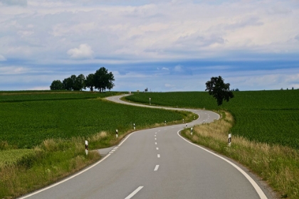 Picture of CURVED ROAD LINZ