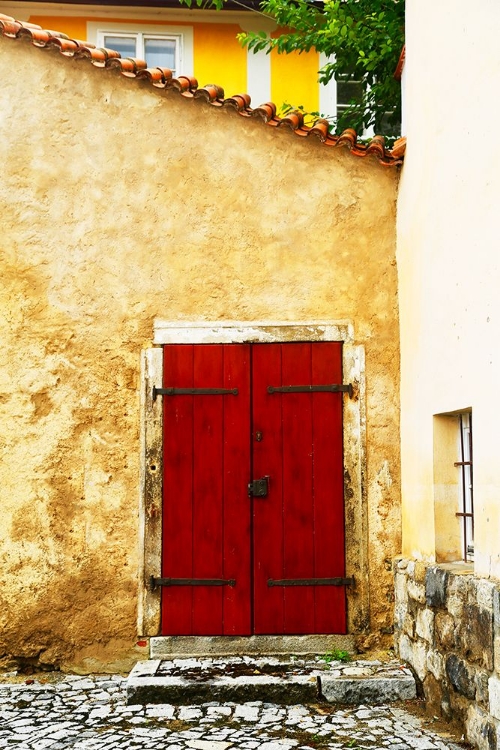 Picture of DOUBLE RED DOOR