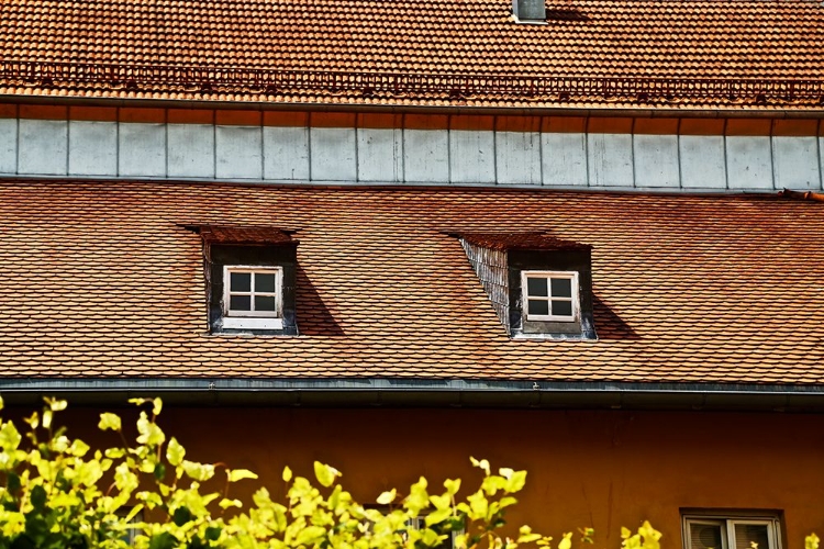 Picture of DOUBLE WINDOW ROOFTOP