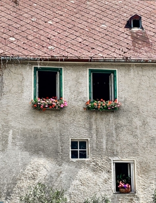 Picture of EUROPEAN FARM HOUSE