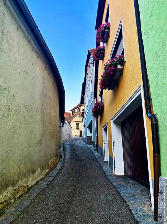 Picture of FLOWER BOXES UP THE ROAD