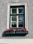 Picture of GREEN WINDOW FLOWERBOX BLACK AND WHITE