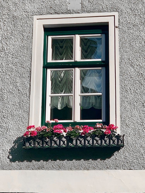 Picture of GREEN WINDOW FLOWERBOX BLACK AND WHITE