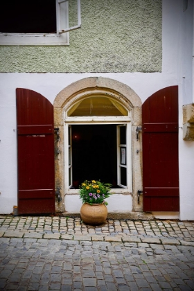 Picture of POTTED PLANT ON COBBLESTONE