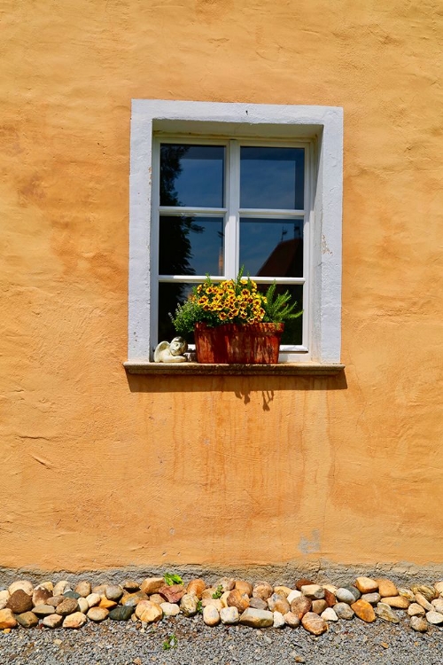 Picture of SINGLE WINDOW WITH FLOWERBOX