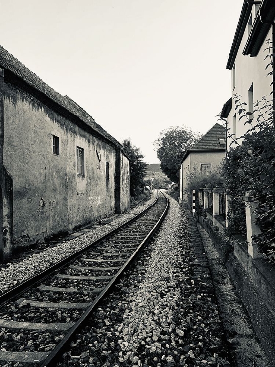 Picture of TRAIN TRACKS IN BLACK AND WHITE