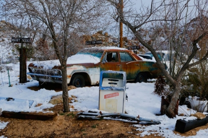 Picture of VINTAGE CAR IN THE TREES