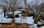 Picture of VINTAGE CAR IN THE TREES