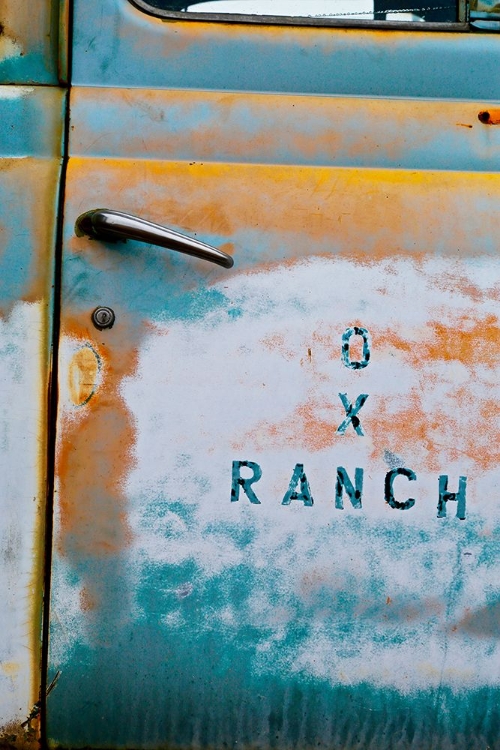 Picture of VINTAGE OX RANCH DOOR