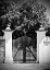 Picture of WOODEN GATE BLACK AND WHITE