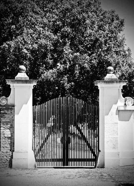 Picture of WOODEN GATE BLACK AND WHITE