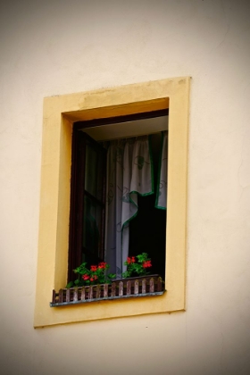 Picture of YELLOW WINDOW FLOWERBOX