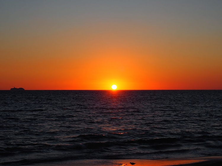 Picture of CARIBBEAN SUNRISE