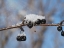 Picture of FROSTED WILD BERRIES