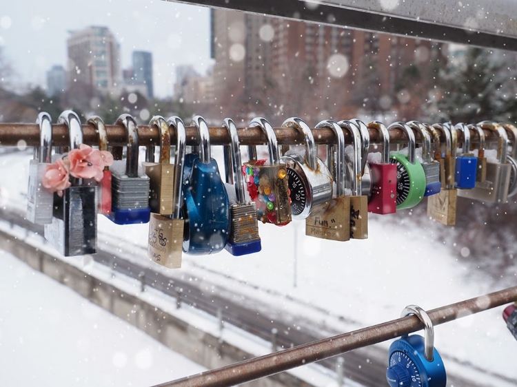 Picture of LOVE LOCKS