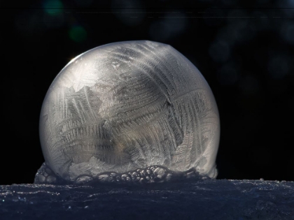 Picture of FROZEN BUBBLE